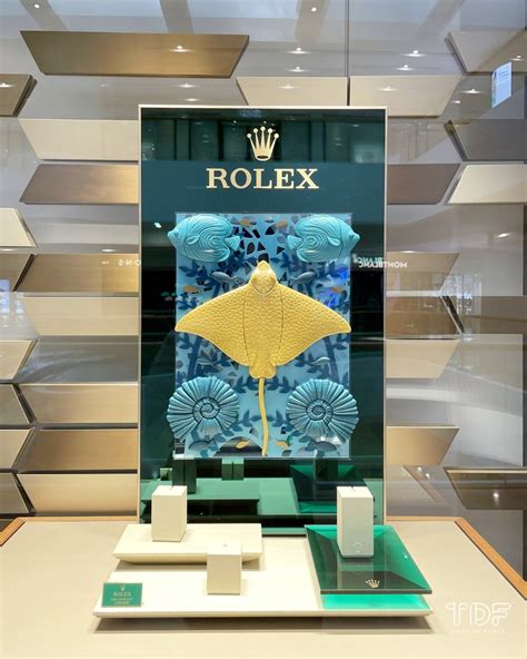 rolex watch display.